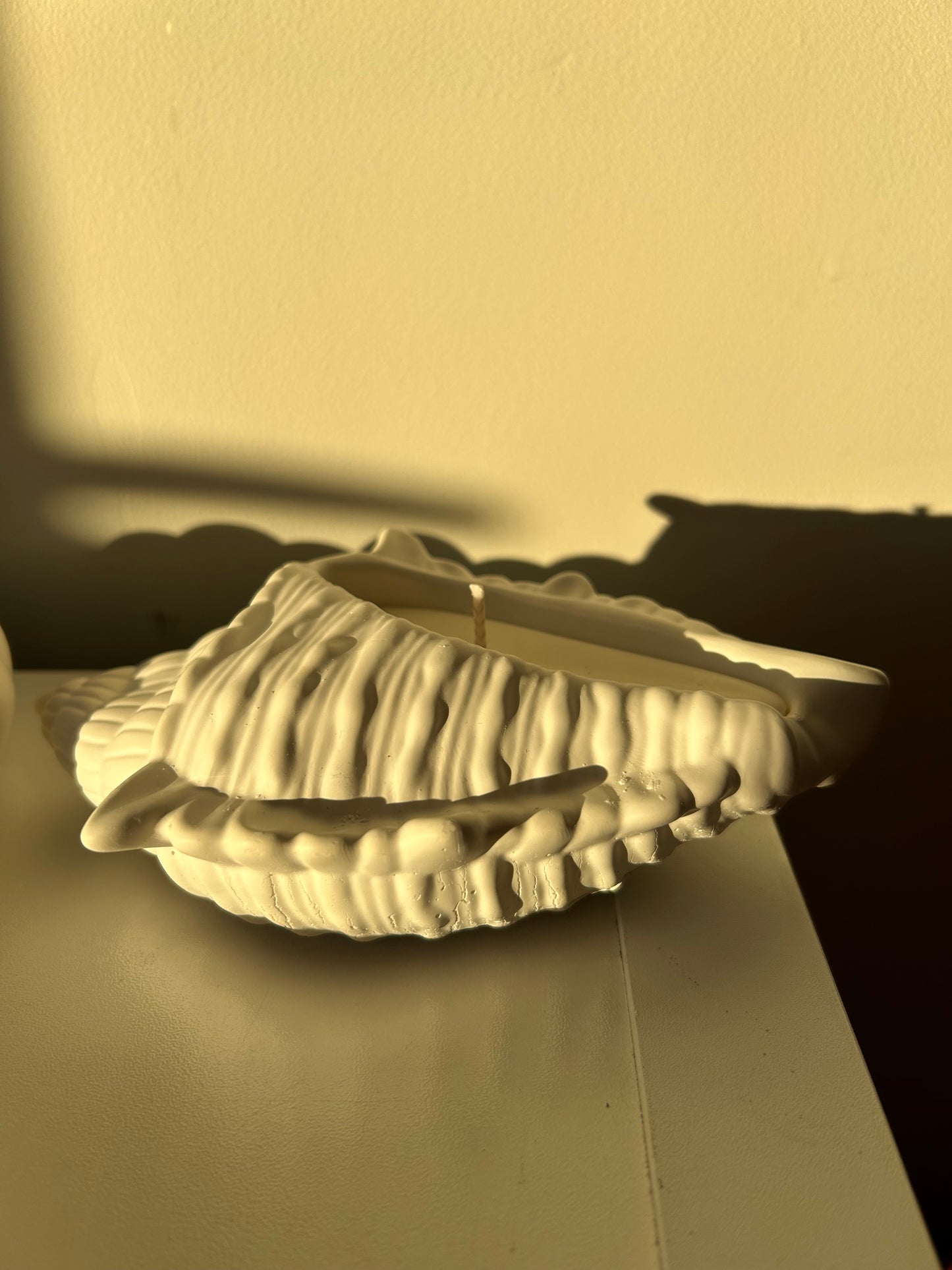 Large Shell Candle