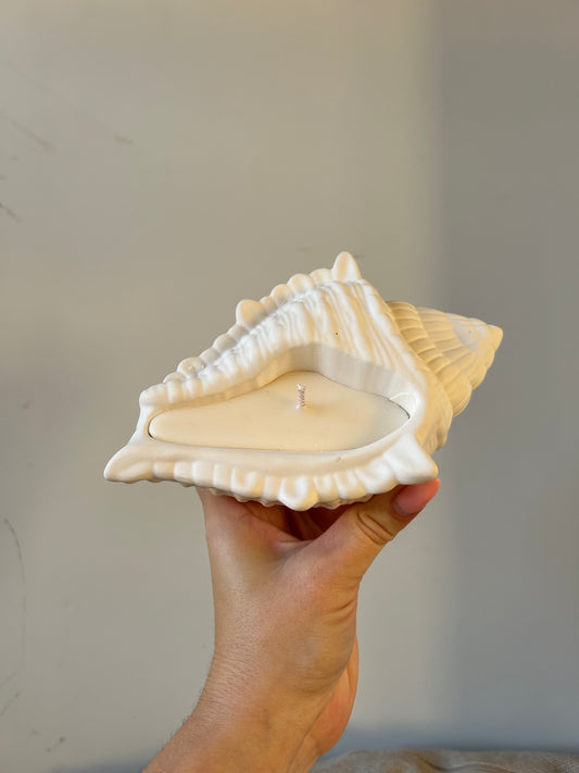 Large Shell Candle