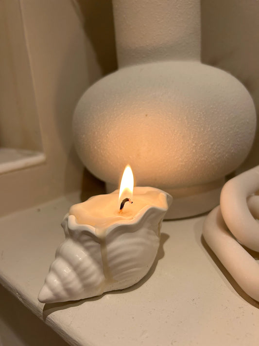 Shell Candle