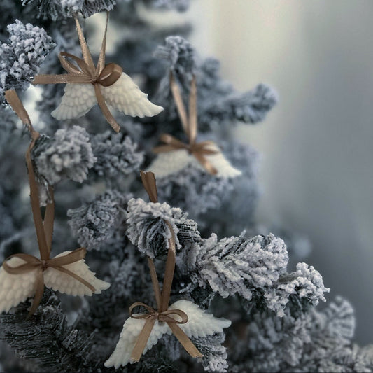 Angel wings decoration